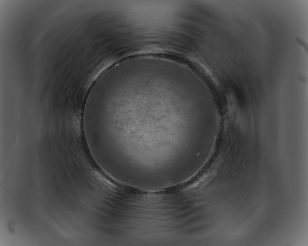 X0000093211409200709261547