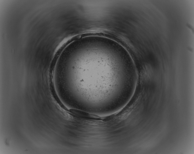 X0000093211412200709261547