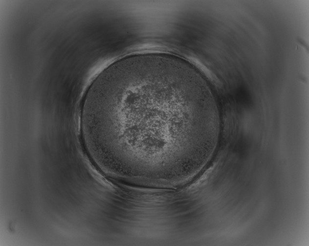 X0000093211413200709261547