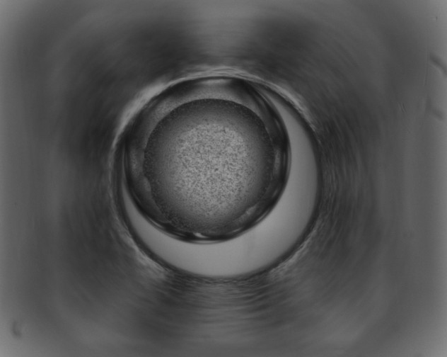X0000093211414200709261547