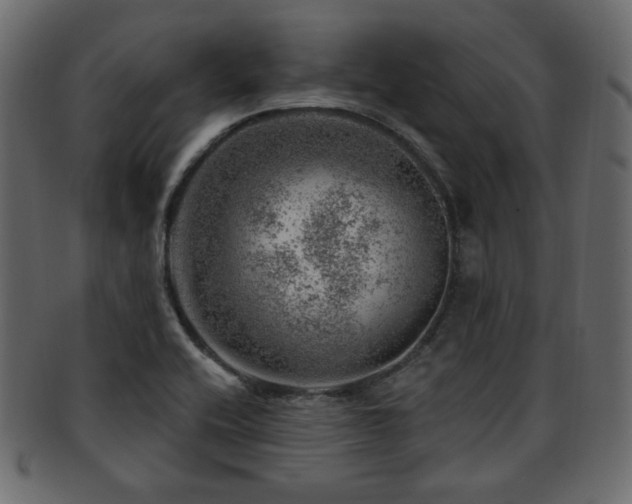 X0000093211416200709261547