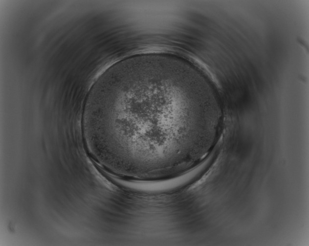 X0000093211417200709261547