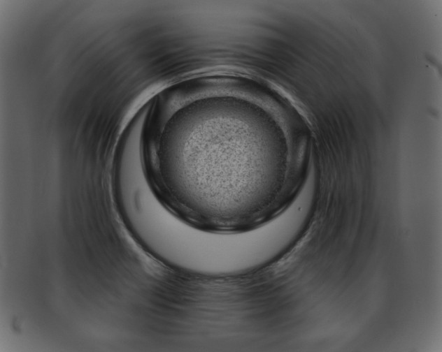 X0000093211418200709261547