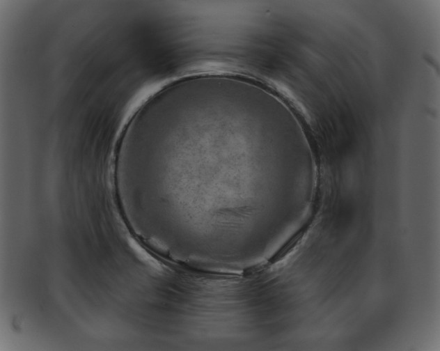 X0000093211421200709261547