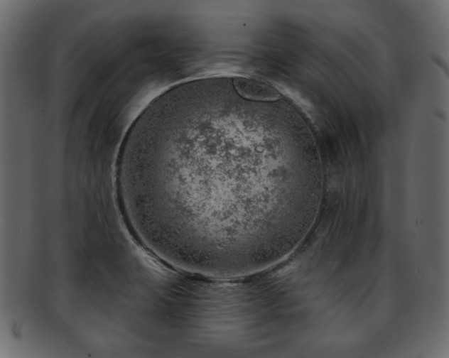 X0000093211423200709261547