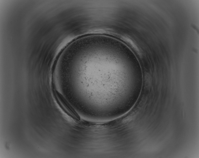 X0000093211424200709261547