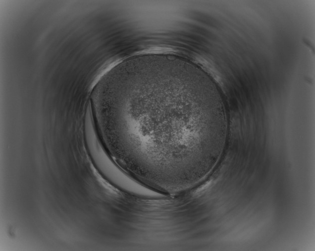 X0000093211425200709261547