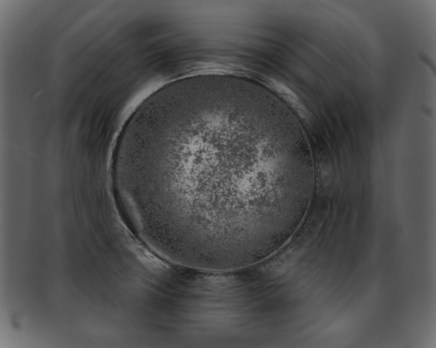 X0000093211427200709261547