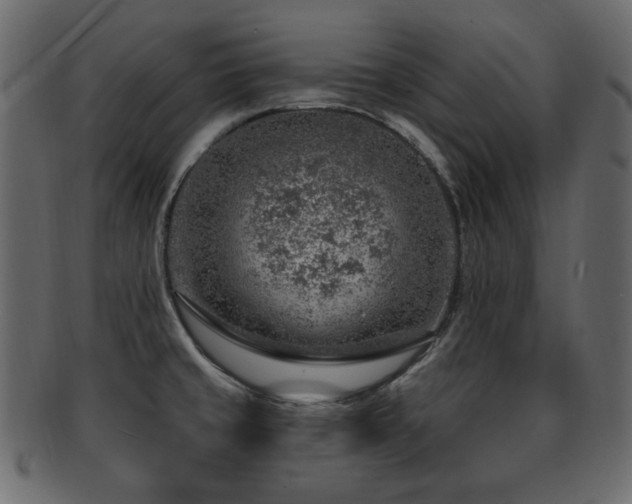 X0000093211429200709261547