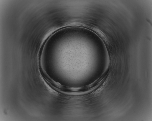 X0000093211430200709261547