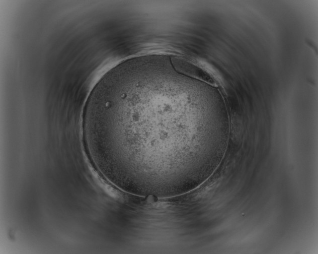 X0000093211431200709261547
