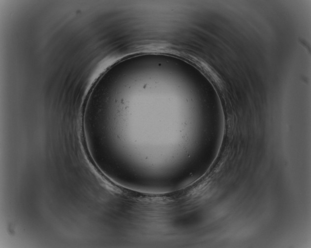 X0000093211432200709261547