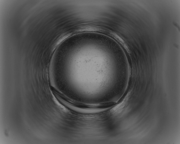 X0000093211433200709261547