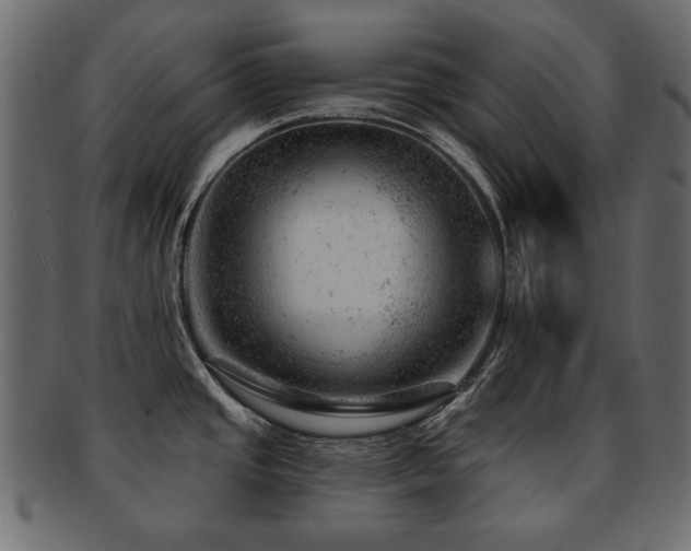 X0000093211437200709261547