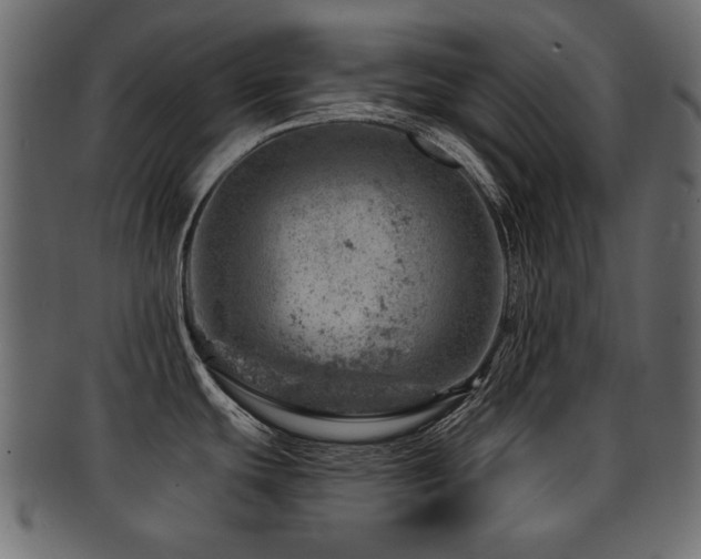 X0000093211439200709261547