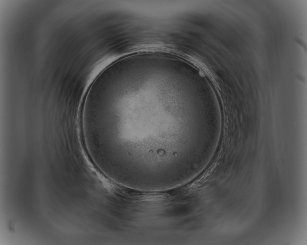 X0000093211440200709261547