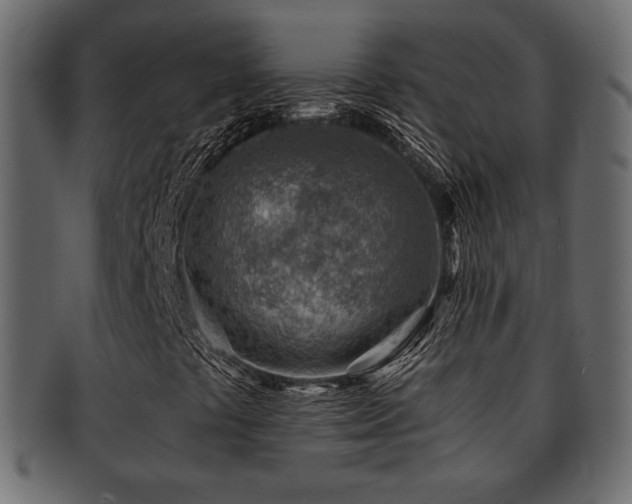 X0000093211441200709261547