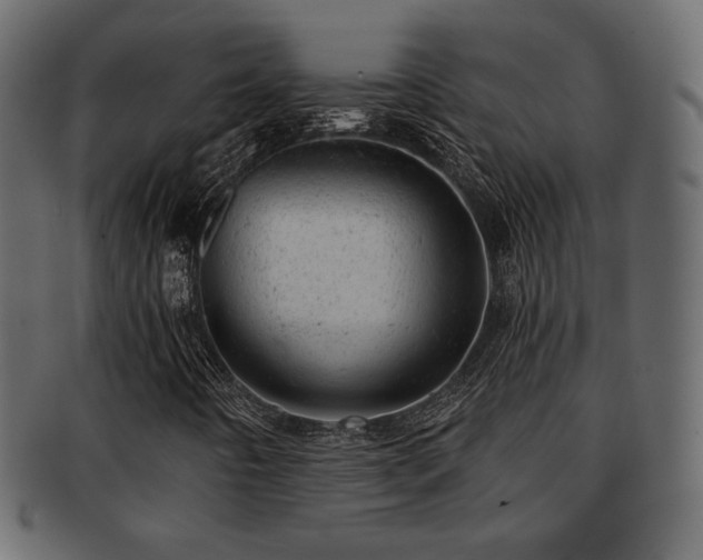 X0000093211442200709261547