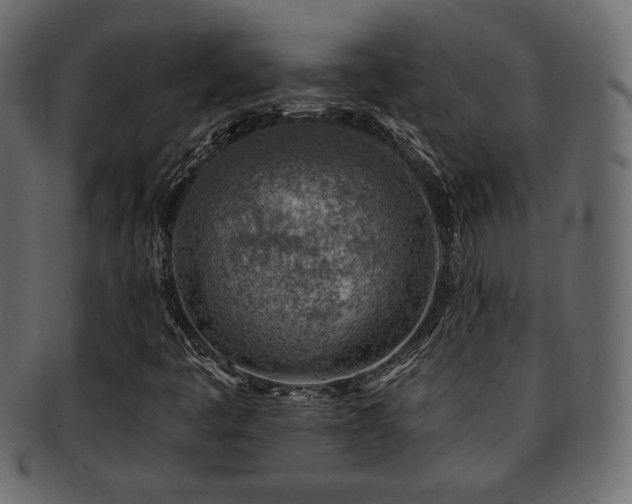 X0000093211445200709261547