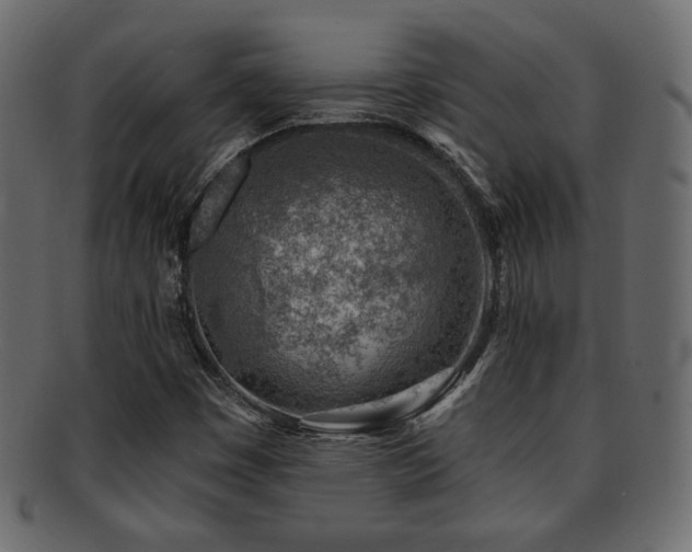 X0000093211449200709261547