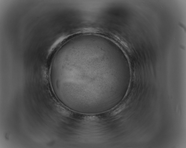 X0000093211454200709261547