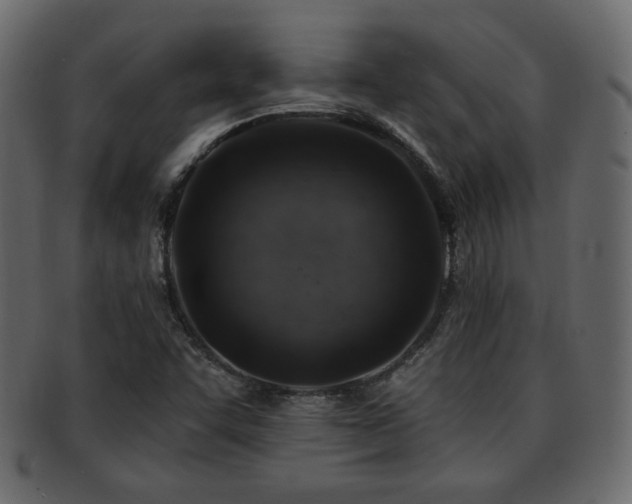 X0000093211455200709261547