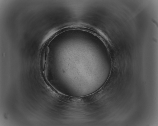X0000093211456200709261547