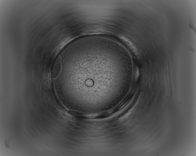 X0000093211457200709261547