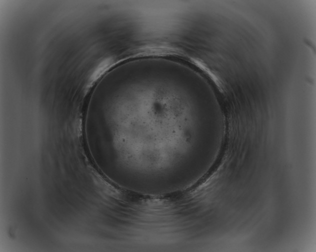 X0000093211459200709261546