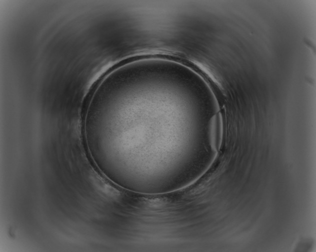 X0000093211460200709261546
