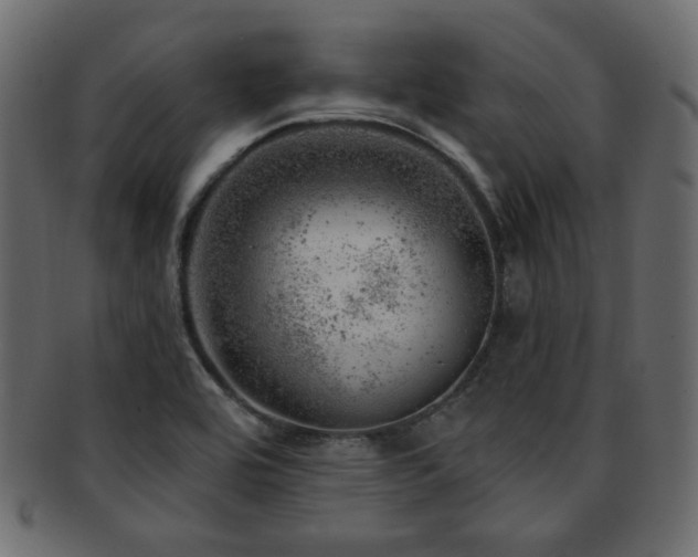 X0000093211464200709261546