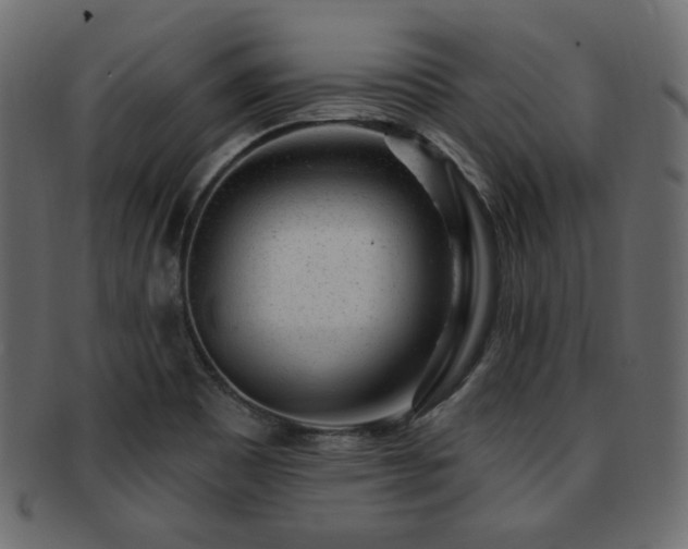 X0000093211465200709261546