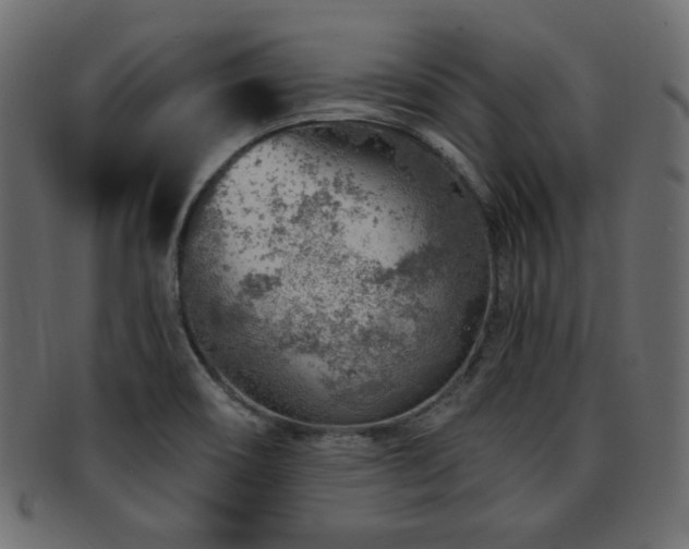 X0000093211466200709261546