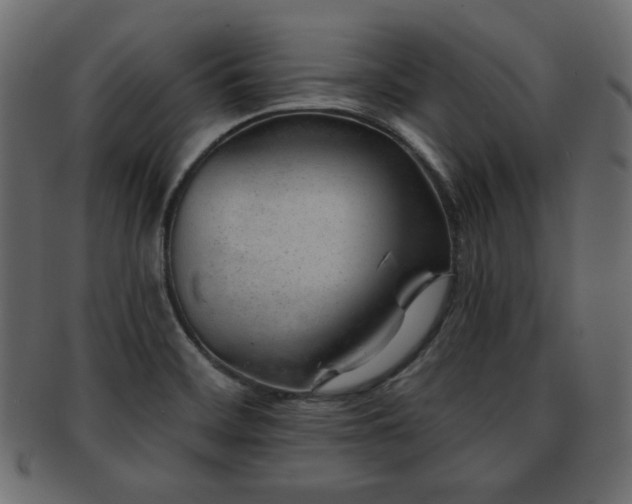 X0000093211468200709261546