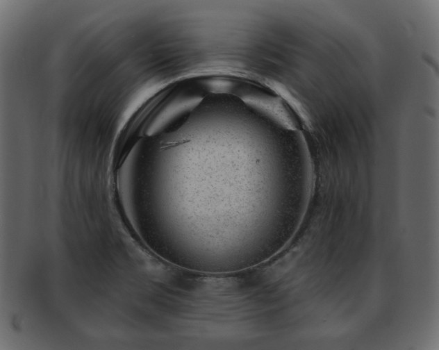 X0000093211469200709261546