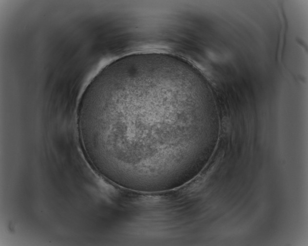 X0000093211470200709261546