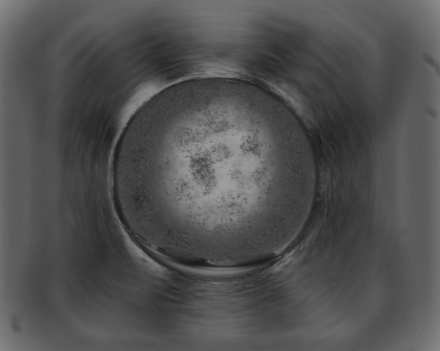 X0000093211471200709261546