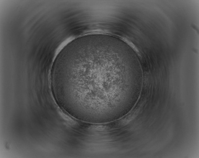 X0000093211474200709261546