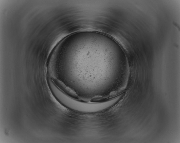 X0000093211476200709261546