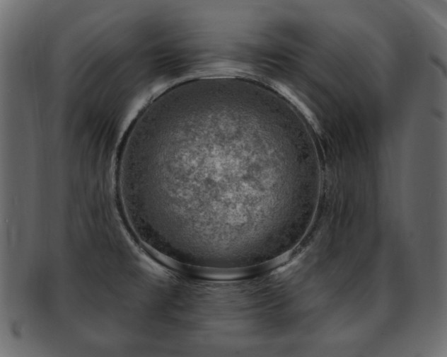 X0000093211477200709261546
