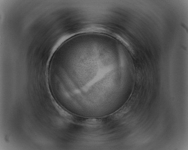 X0000093211478200709261546