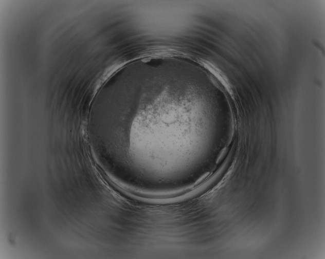 X0000093211481200709261546