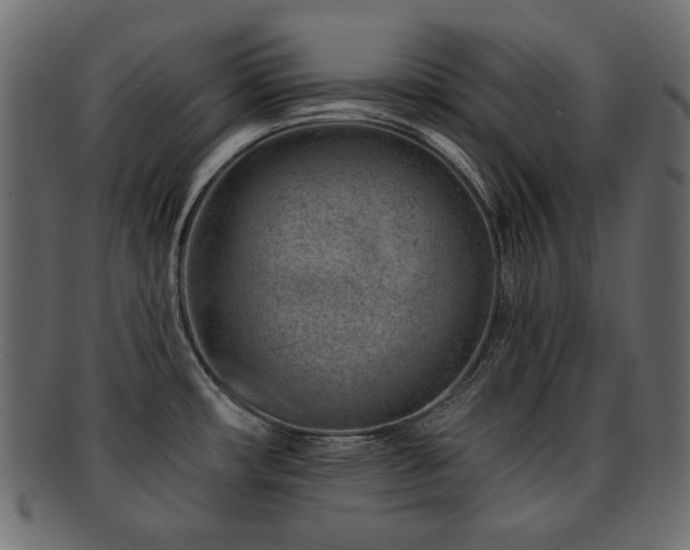 X0000093211482200709261546