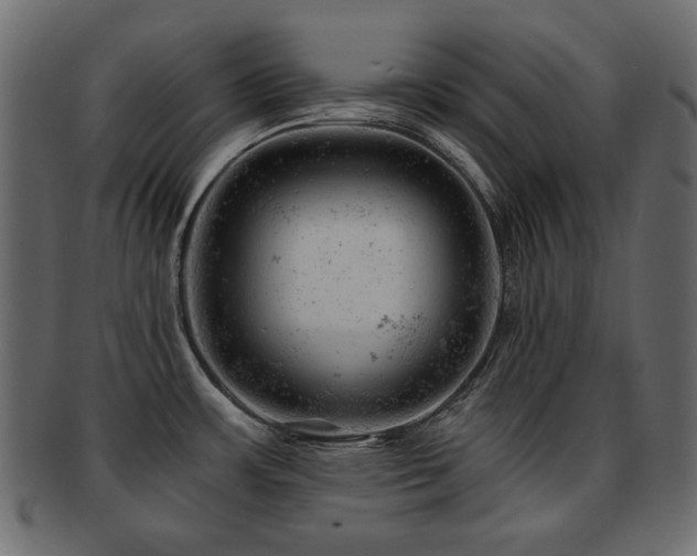 X0000093211483200709261546