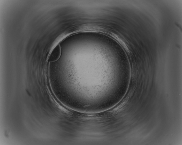X0000093211486200709261546