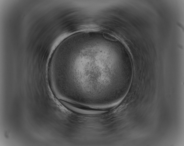 X0000093211488200709261546