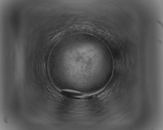 X0000093211489200709261545