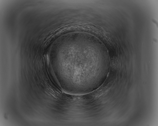 X0000093211490200709261545