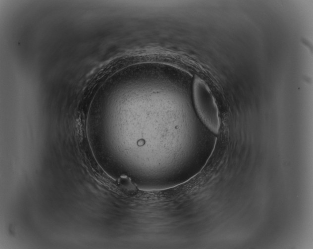 X0000093211493200709261545