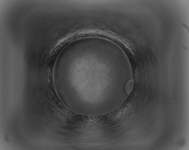 X0000093211494200709261545